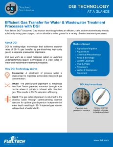 DGI Brochure